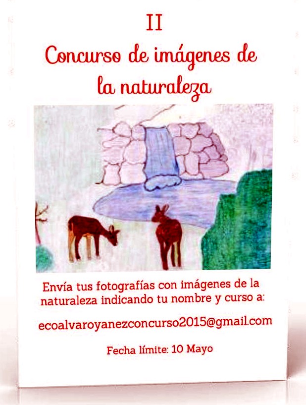 Cartel Concurso Fotografía Ecológico 2015/16