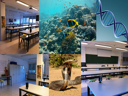 Collage Departamento de Biología y Geología