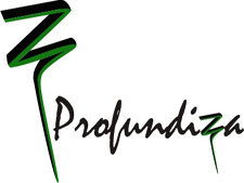 Logo Profundiza